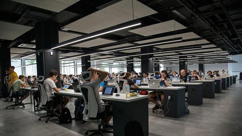 people doing office works